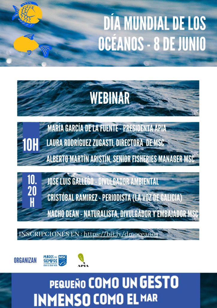 Este lunes se celebra el Día Mundial de los Océanos. 