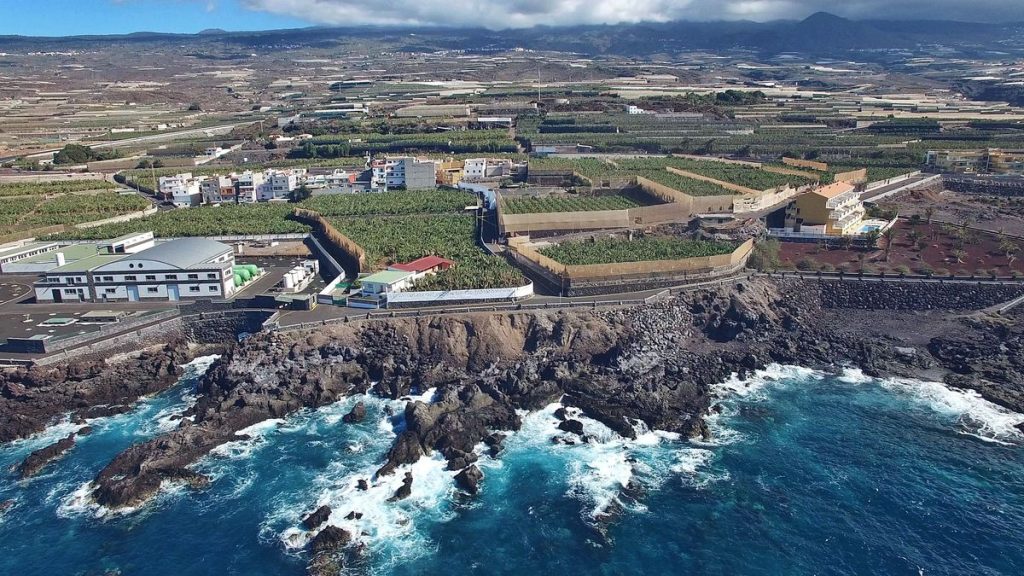 Fonsalía, en la costa de Guía de Isora. (CARSTEN W. LAURITSEN)
