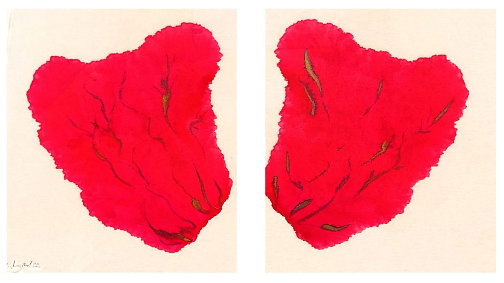 Obra de Ángela Maglioni.