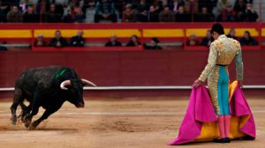 Un toro embiste a un torero