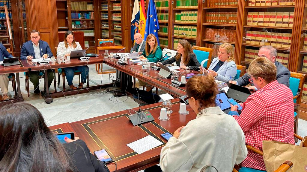 Comisión del Parlamento de Canarias.